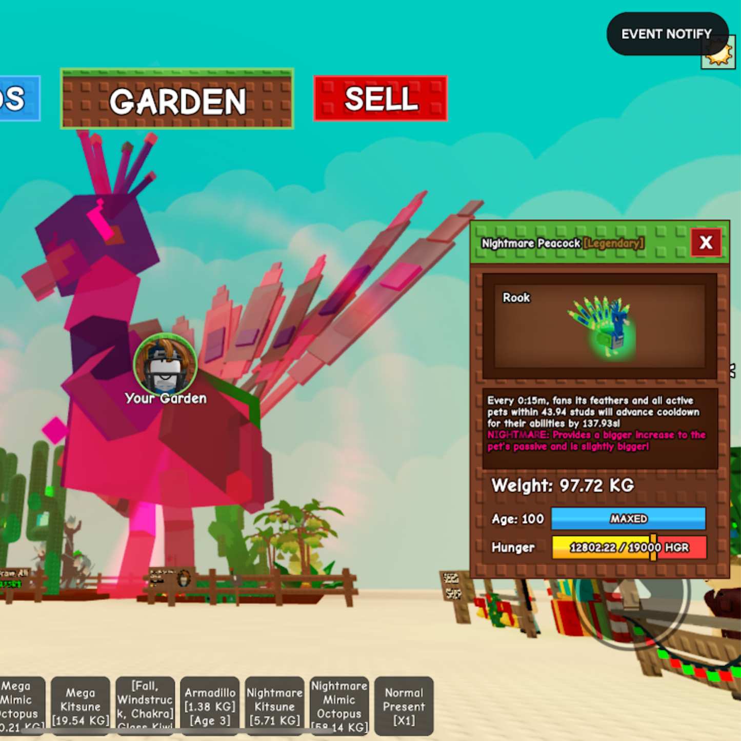 15 Second Peacock | Titanic Peacock | No Toy Required | Random 77KG-97KG